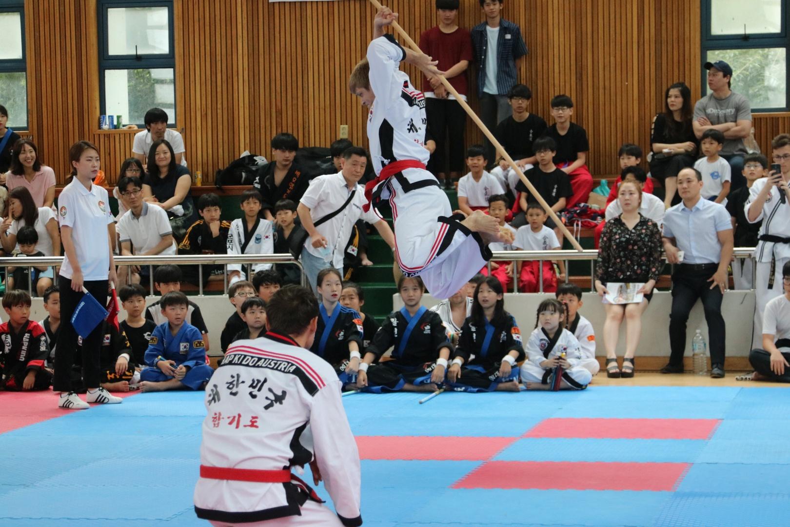 Langstock-Vorführung. Selbstverteidigung (Hoshinsul). Internationale Meisterschaften in Korea, 2016. Hapkido ist eine koreanische Kampfkunst zur Selbstverteidigung.