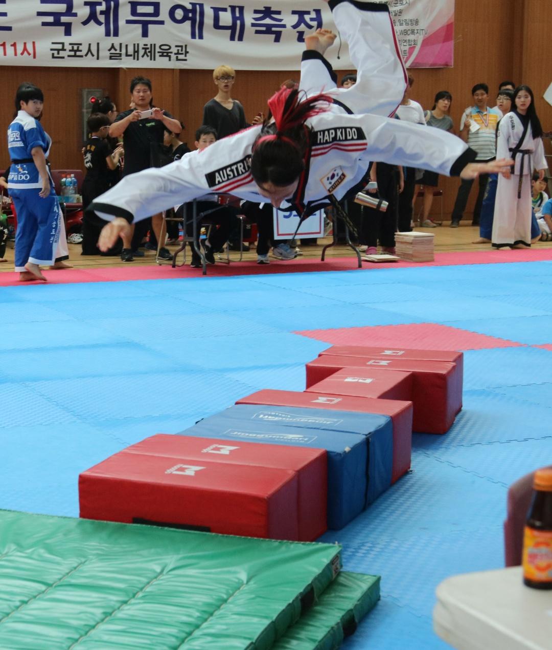 Hapkido - Fallschule (Nakbob). Internationale Meisterschaften in Korea, 2016. Hapkido ist eine koreanische Kampfkunst zur Selbstverteidigung.