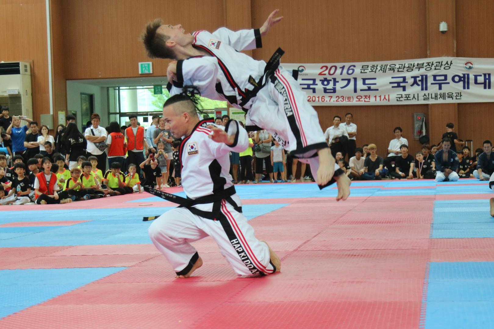 International Hapkido Championship Seoul 2016