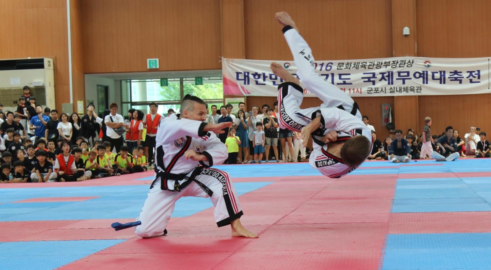 Selbstverteidigung (Hoshinsul). Internationale Meisterschaften in Korea, 2016. Hapkido ist eine koreanische Kampfkunst zur Selbstverteidigung.