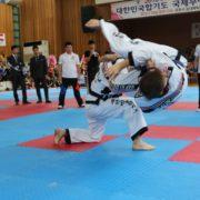 Selbstverteidigung (Hoshinsul). Internationale Meisterschaften in Korea, 2016. Hapkido ist eine koreanische Kampfkunst zur Selbstverteidigung.
