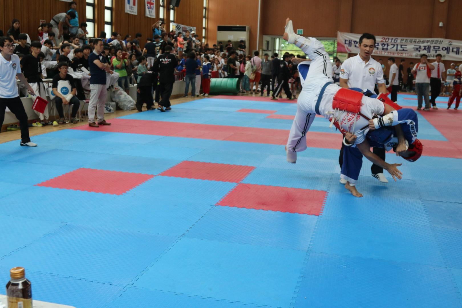 Freikampf (Kyorugi). Internationale Meisterschaften in Korea, 2016. Hapkido ist eine koreanische Kampfkunst zur Selbstverteidigung.