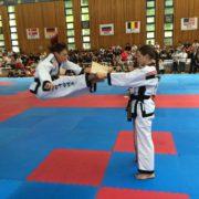 Bruchtest (Kyokpa). Internationale Meisterschaften in Korea, 2016. Hapkido ist eine koreanische Kampfkunst zur Selbstverteidigung.