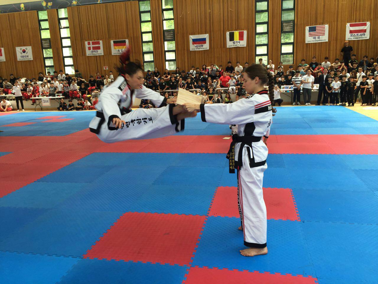 Bruchtest (Kyokpa). Internationale Meisterschaften in Korea, 2016. Hapkido ist eine koreanische Kampfkunst zur Selbstverteidigung.