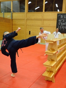 Hapkido Tritte erfordern ein gutes Gleichgewicht und Körperbeherrschung. Durch gezieltes Trainieren wird die Kontrolle des Tritts verbessert, so wie hier beim Lehrgang in Wels 2020.