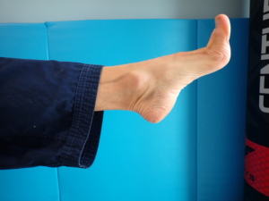 Hapkido: Beispielsweise wird beim ap tschagi (앞 차기, Schnapptritt nach vorne) mit dem Zehenballen getreten. Dafür müssen die Zehen angezogen und der Fuß durchgestreckt werden.